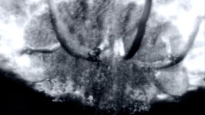 13 ch3 06.jpg